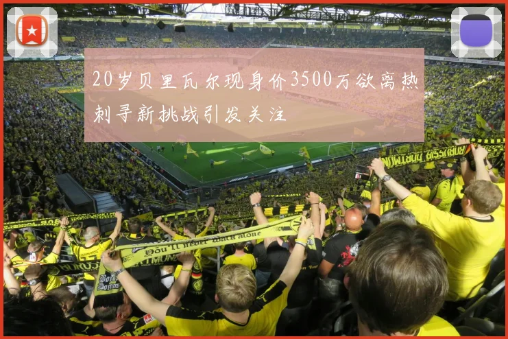 20岁贝里瓦尔现身价3500万欲离热刺寻新挑战引发关注